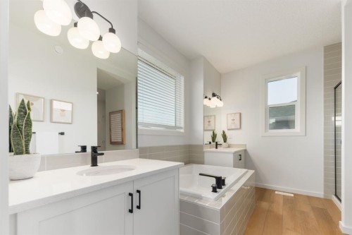 80 Creekside Path Sw, Calgary, AB - Indoor Photo Showing Bathroom