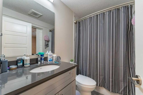 153 Waterford Boulevard, Chestermere, AB - Indoor Photo Showing Bathroom