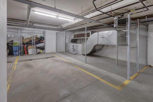 315-100 Auburn Meadows Common Se, Calgary, AB - Indoor Photo Showing Garage