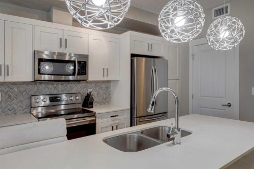 315-100 Auburn Meadows Common Se, Calgary, AB - Indoor Photo Showing Kitchen With Double Sink