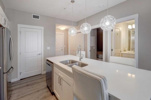 315-100 Auburn Meadows Common Se, Calgary, AB - Indoor Photo Showing Kitchen With Double Sink