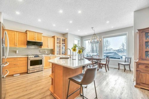 392 Rainbow Falls Way, Chestermere, AB - Indoor Photo Showing Kitchen With Upgraded Kitchen