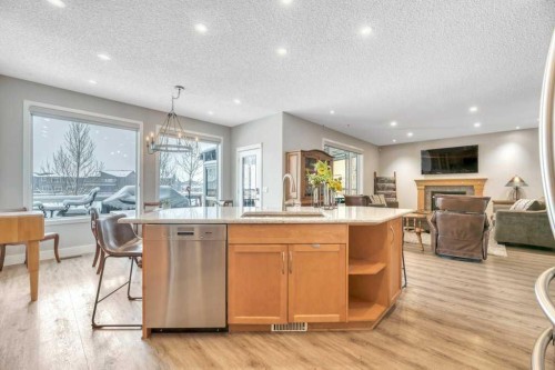 392 Rainbow Falls Way, Chestermere, AB - Indoor Photo Showing Kitchen