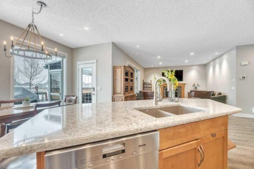 392 Rainbow Falls Way, Chestermere, AB - Indoor Photo Showing Kitchen With Double Sink With Upgraded Kitchen