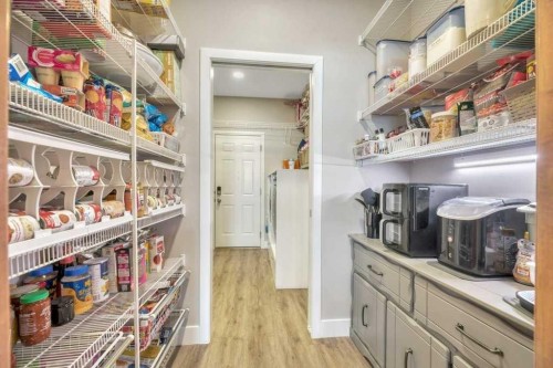 392 Rainbow Falls Way, Chestermere, AB - Indoor With Storage