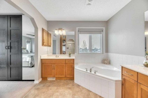 392 Rainbow Falls Way, Chestermere, AB - Indoor Photo Showing Bathroom