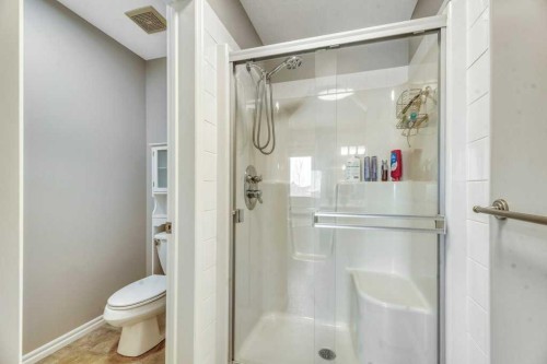 392 Rainbow Falls Way, Chestermere, AB - Indoor Photo Showing Bathroom