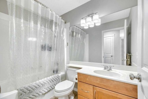 392 Rainbow Falls Way, Chestermere, AB - Indoor Photo Showing Bathroom