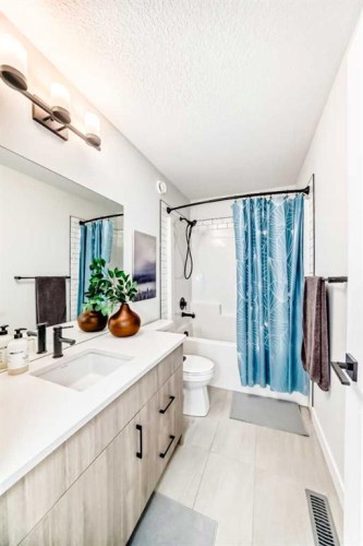 123 Harmony Circle, Rural Rocky View County, AB - Indoor Photo Showing Bathroom