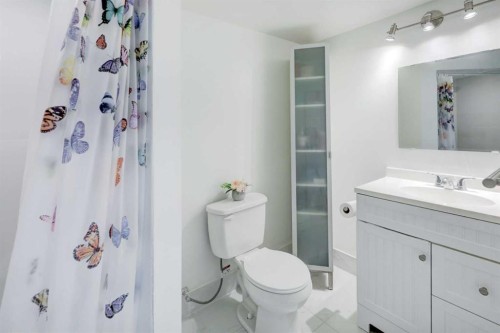 4721 Edmonton Trail Ne, Calgary, AB - Indoor Photo Showing Bathroom