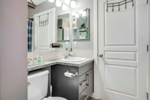 160 Cranford Walk Se, Calgary, AB - Indoor Photo Showing Bathroom