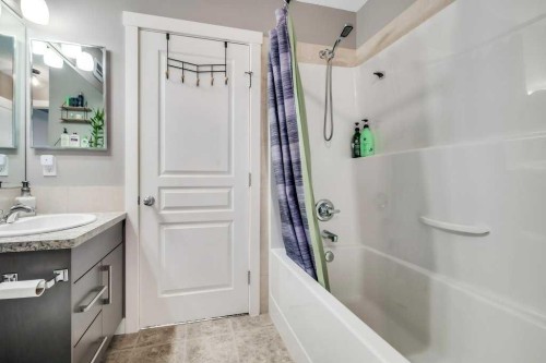 160 Cranford Walk Se, Calgary, AB - Indoor Photo Showing Bathroom