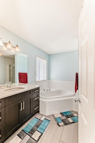 16 Saddlecrest Park Ne, Calgary, AB - Indoor Photo Showing Bathroom