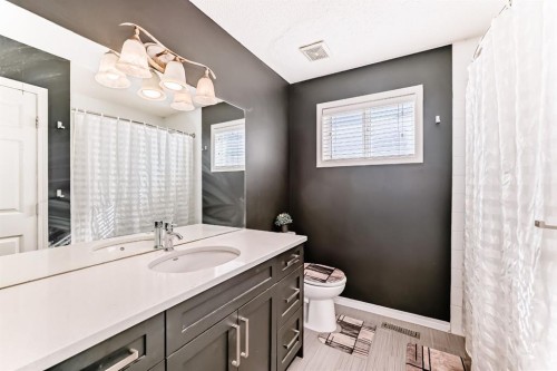 16 Saddlecrest Park Ne, Calgary, AB - Indoor Photo Showing Bathroom