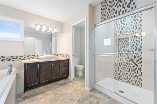 220 Walden Heights Se, Calgary, AB - Indoor Photo Showing Bathroom