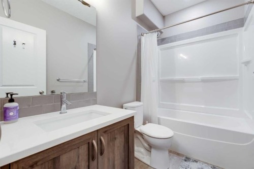196 Kincora Hill Nw, Calgary, AB - Indoor Photo Showing Bathroom
