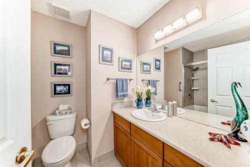 151 Macewan Ridge Villas Nw, Calgary, AB - Indoor Photo Showing Bathroom