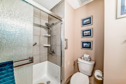 151 Macewan Ridge Villas Nw, Calgary, AB - Indoor Photo Showing Bathroom