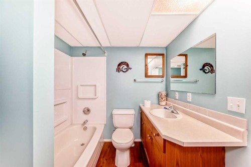 151 Macewan Ridge Villas Nw, Calgary, AB - Indoor Photo Showing Bathroom