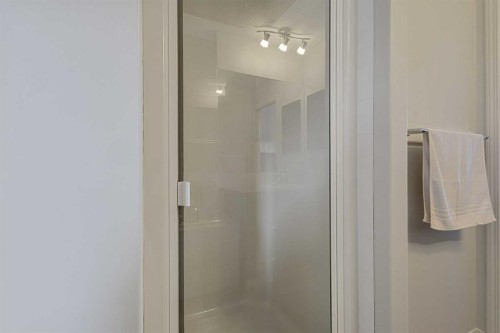 41 Silverado Saddle Avenue Sw, Calgary, AB - Indoor Photo Showing Bathroom