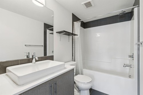 1205-302 Skyview Ranch Drive Ne, Calgary, AB - Indoor Photo Showing Bathroom