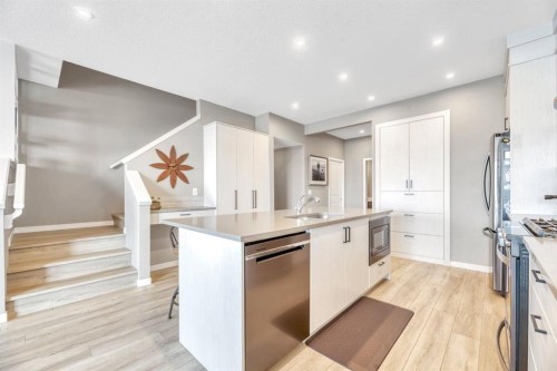 840 Seton Circle Se, Calgary, AB - Indoor Photo Showing Kitchen With Upgraded Kitchen