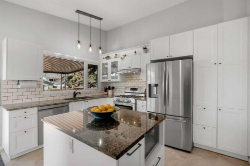 9939 Maplecreek Drive Se, Calgary, AB - Indoor Photo Showing Kitchen With Stainless Steel Kitchen With Upgraded Kitchen
