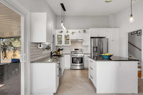 9939 Maplecreek Drive Se, Calgary, AB - Indoor Photo Showing Kitchen With Stainless Steel Kitchen With Upgraded Kitchen