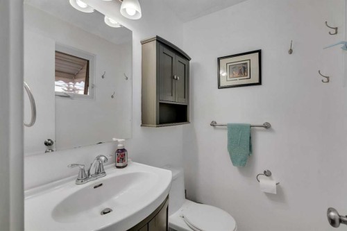 9939 Maplecreek Drive Se, Calgary, AB - Indoor Photo Showing Bathroom