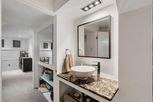 9939 Maplecreek Drive Se, Calgary, AB - Indoor Photo Showing Bathroom