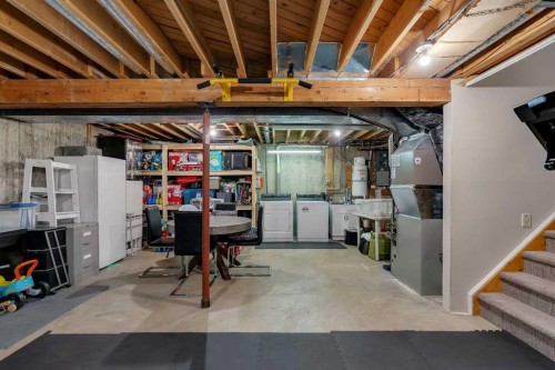 9939 Maplecreek Drive Se, Calgary, AB - Indoor Photo Showing Basement