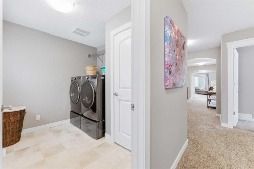 187 Cranarch Circle Se, Calgary, AB - Indoor Photo Showing Laundry Room