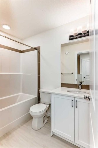 43 Blue Heron Parade Se, Calgary, AB - Indoor Photo Showing Bathroom