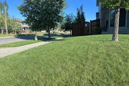 6 Cranwell Square Se, Calgary, AB - Outdoor