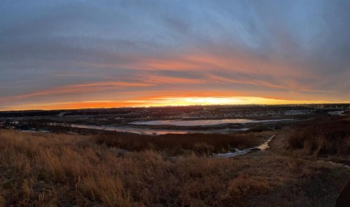 6 Cranwell Square Se, Calgary, AB - Outdoor With View