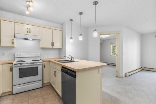 2303-175 Panatella Hill Nw, Calgary, AB - Indoor Photo Showing Kitchen With Double Sink