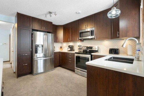 80 Chaparral Road Se, Calgary, AB - Indoor Photo Showing Kitchen With Double Sink With Upgraded Kitchen