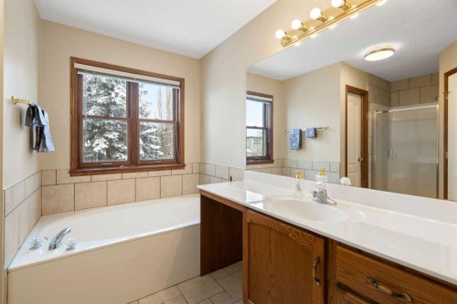 80 Chaparral Road Se, Calgary, AB - Indoor Photo Showing Bathroom