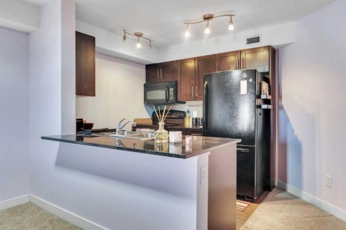 318-7210 80 Avenue Ne, Calgary, AB - Indoor Photo Showing Kitchen With Double Sink