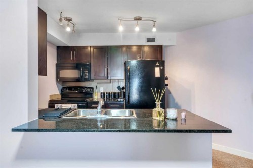 318-7210 80 Avenue Ne, Calgary, AB - Indoor Photo Showing Kitchen With Double Sink