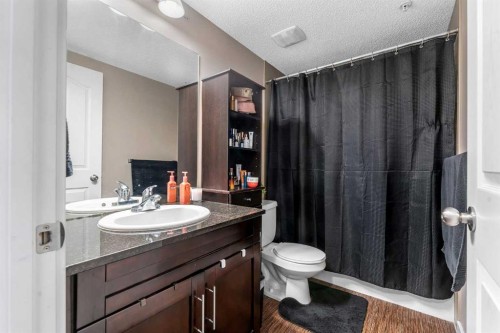 318-7210 80 Avenue Ne, Calgary, AB - Indoor Photo Showing Bathroom