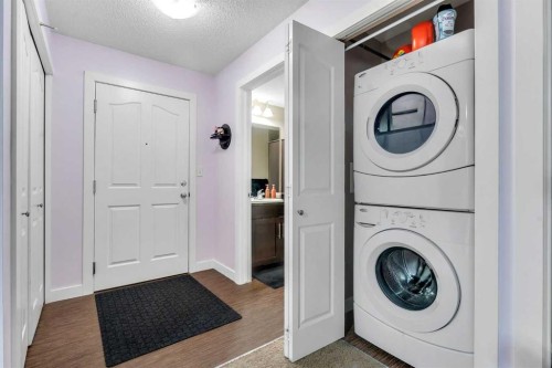 318-7210 80 Avenue Ne, Calgary, AB - Indoor Photo Showing Laundry Room