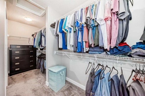 77 Howse Terrace Ne, Calgary, AB - Indoor With Storage