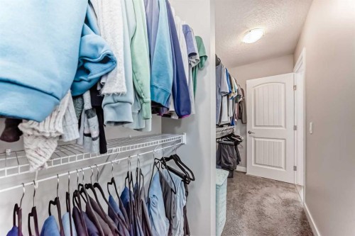 77 Howse Terrace Ne, Calgary, AB - Indoor With Storage