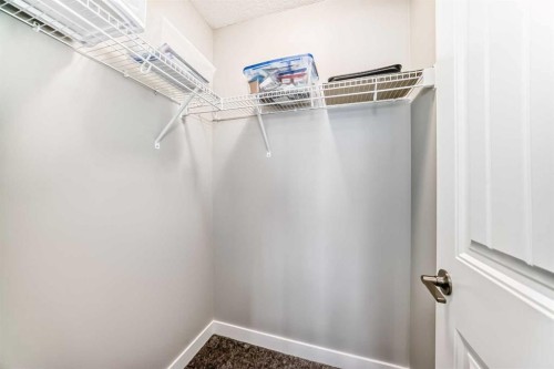 77 Howse Terrace Ne, Calgary, AB - Indoor With Storage