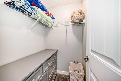 77 Howse Terrace Ne, Calgary, AB - Indoor With Storage