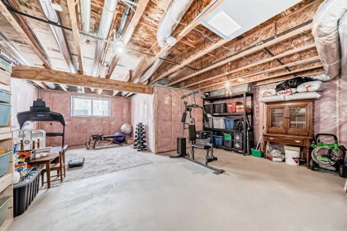 77 Howse Terrace Ne, Calgary, AB - Indoor Photo Showing Basement