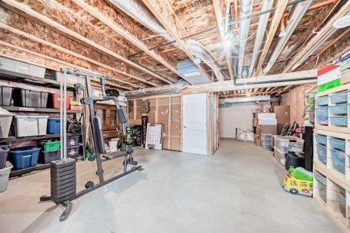 77 Howse Terrace Ne, Calgary, AB - Indoor Photo Showing Basement