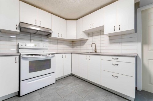 119 Mardale Crescent Ne, Calgary, AB - Indoor Photo Showing Kitchen
