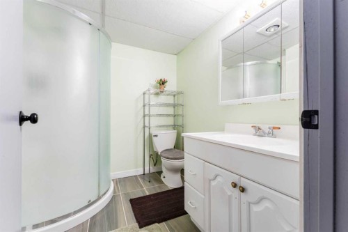 119 Mardale Crescent Ne, Calgary, AB - Indoor Photo Showing Bathroom